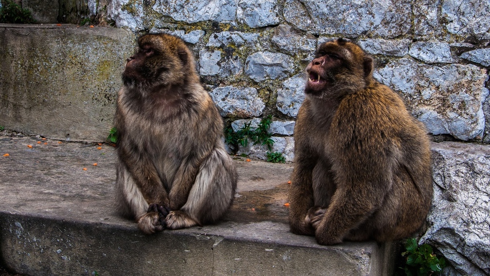 194_ Gibraltar-ES-66_1200x675.jpg