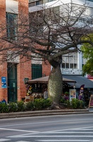 La ville de Marbella, Espagne.