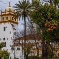 La ville de Séville, Espagne.||<img src=_data/i/upload/2018/06/28/20180628160956-0e1b5625-th.jpg>