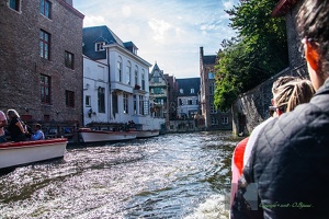 Brugge 41