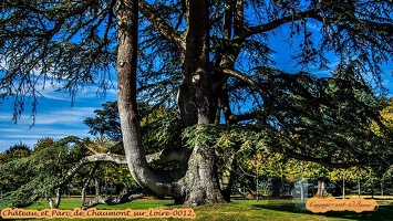 Château et Parc de Chaumont sur Loire-0012