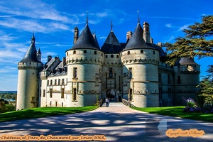 Château et Parc de Chaumont sur Loire-0068