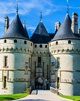 Château et Parc de Chaumont sur Loire-0070 (Site)