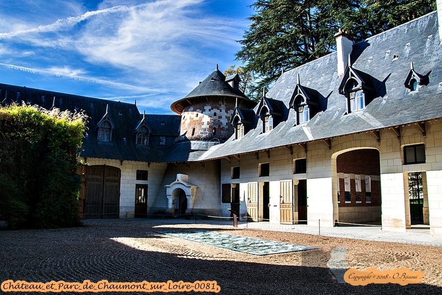 Château_et_Parc_de_Chaumont_sur_Loire-0081.jpg