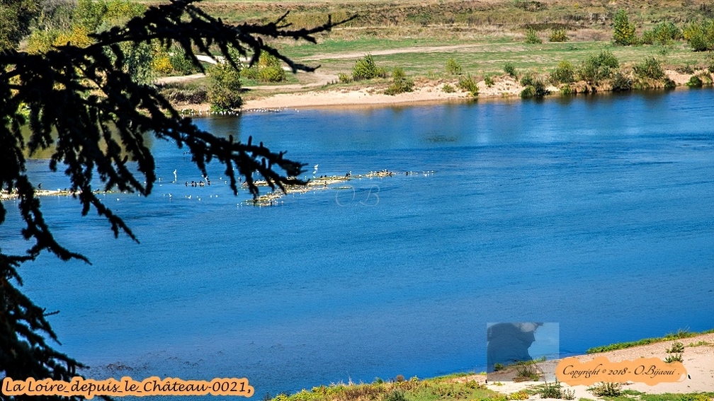 La Loire_depuis_le_Château-0021.jpg