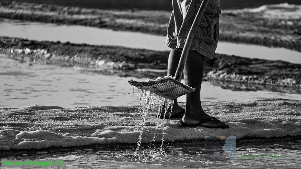 Tavira-Portugal-78 (Site).jpg