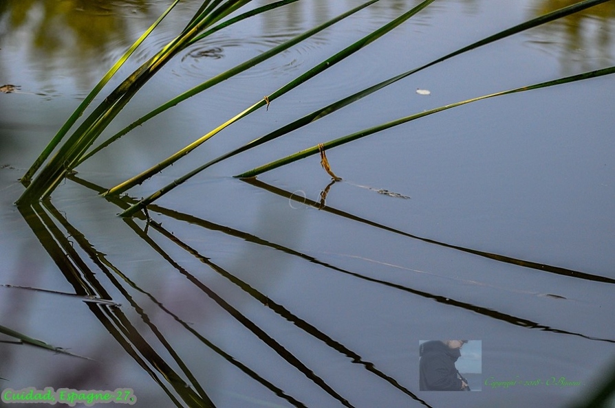 Cuidad, Espagne-27 (Site).jpg