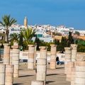 Rabat-Maroc 168 (Site)||<img src=i.php?/upload/2019/04/25/20190425223957-d182315e-th.jpg>