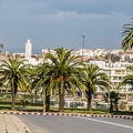 Rabat-Maroc 178 (Site)||<img src=_data/i/upload/2019/04/25/20190425224024-222ad3fe-th.jpg>