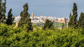 Rabat-Maroc 199 (Site)