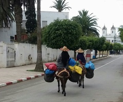 Moulay-Bousselham (18) (Site)