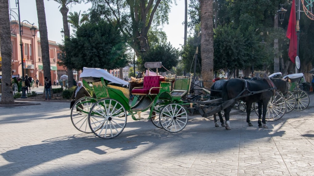 Marrakech-Maroc_203 (Site).jpg