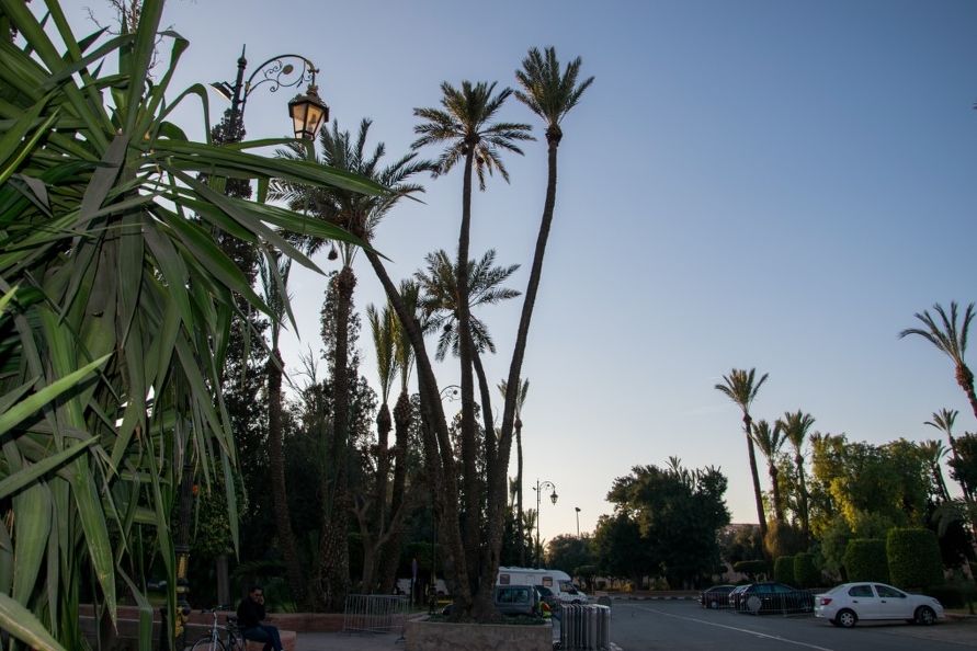 Marrakech-Maroc_230 (Site).jpg