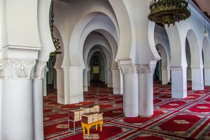 Fès 141 (Site)