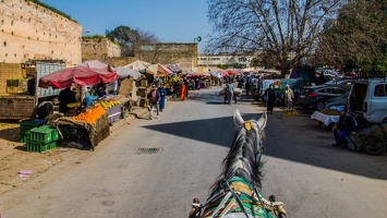 Meknès 92-2 (Site)