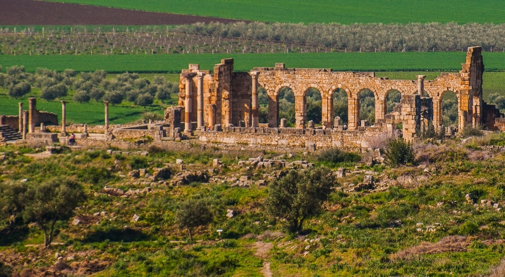 Volubilis_5 (Site).jpg