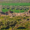 Volubilis 6 (Site)||<img src=i.php?/upload/2019/04/26/20190426173736-cfedb5ea-th.jpg>