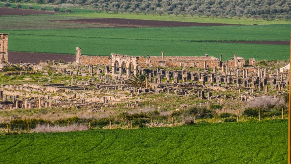 Volubilis_8 (Site).jpg