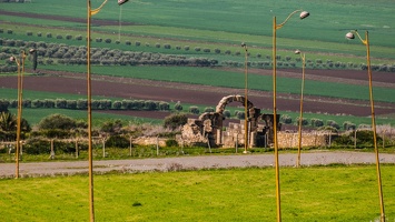 Volubilis 9 (Site)