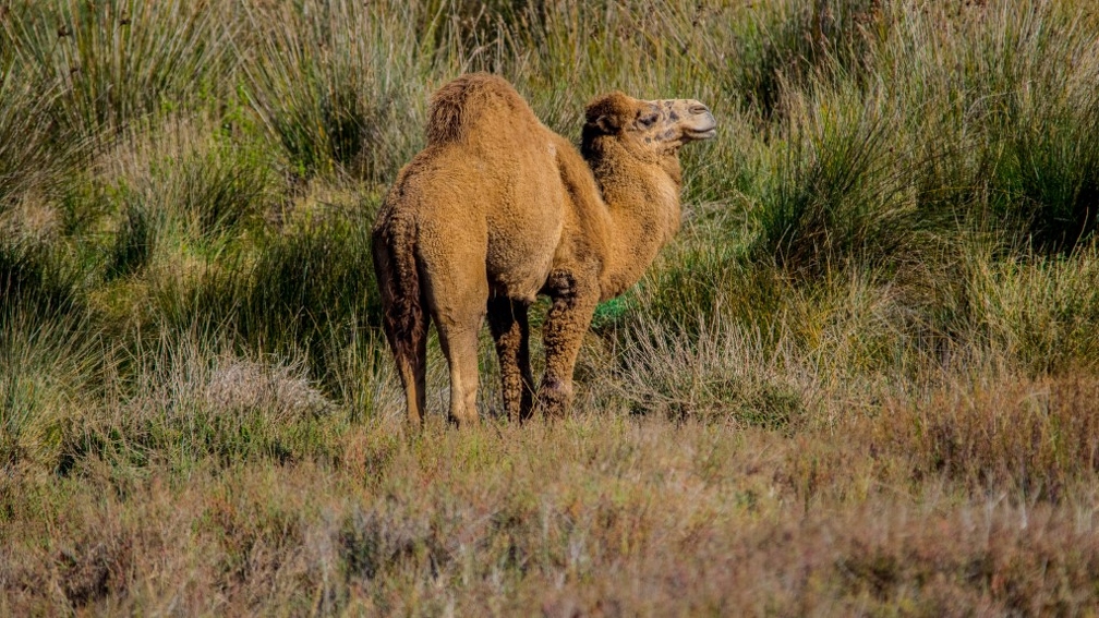 Hay Oued El Maleh_7 (Site).jpg