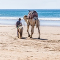 Agadir n’ Aït Sa 9 (Site)||<img src=i.php?/upload/2019/04/26/20190426185135-5ee9a726-th.jpg>