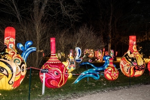 Nouvel-An Chinois au Château de selles sur cher-0117-Site