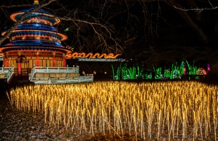 Nouvel-An Chinois au Château de selles sur cher-0136-Site