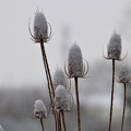 L'hiver (75)||<img src=_data/i/upload/2021/01/12/20210112145324-37cc4769-th.jpg>