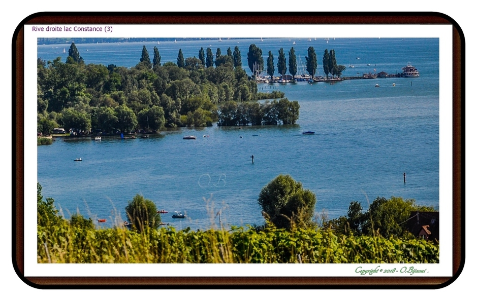 Rive droite lac Constance (3).jpg