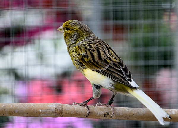 DSC_5969.JPG